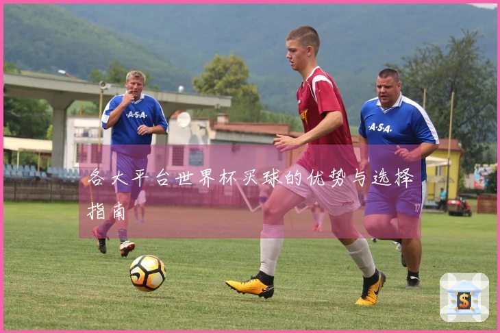 各大平台世界杯买球的优势与选择指南