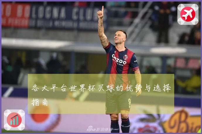 各大平台世界杯买球的优势与选择指南