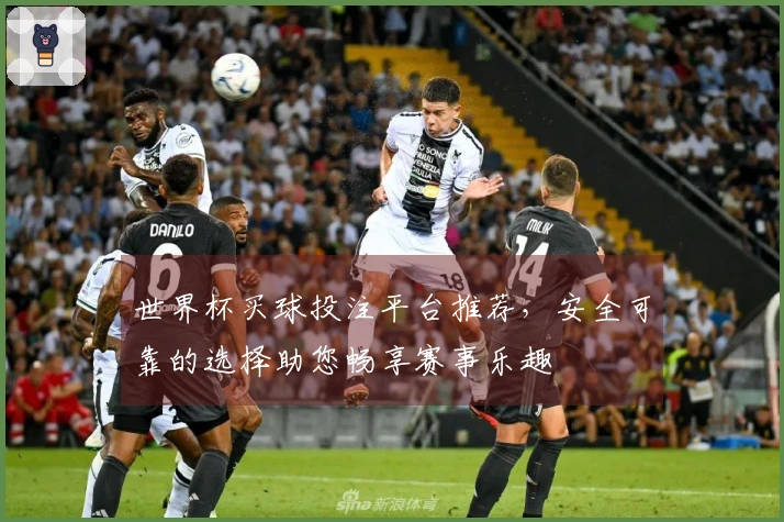 世界杯买球投注平台推荐，安全可靠的选择助您畅享赛事乐趣