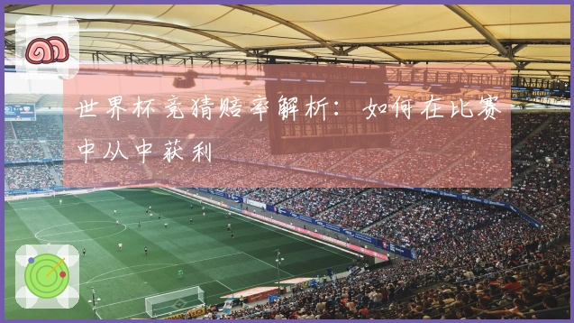 世界杯竞猜赔率解析：如何在比赛中从中获利